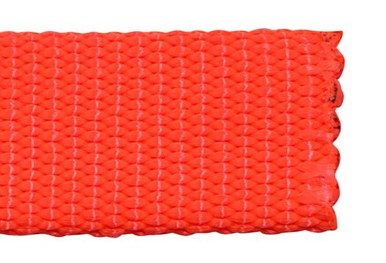 Nylon Pet Webbing (4-850)