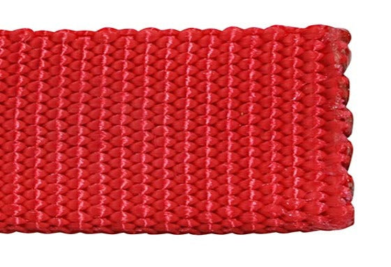 Nylon Pet Webbing (4-850)