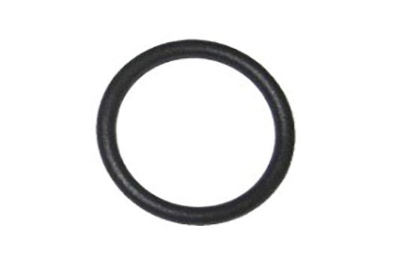 Plastic O-Ring (AP900)