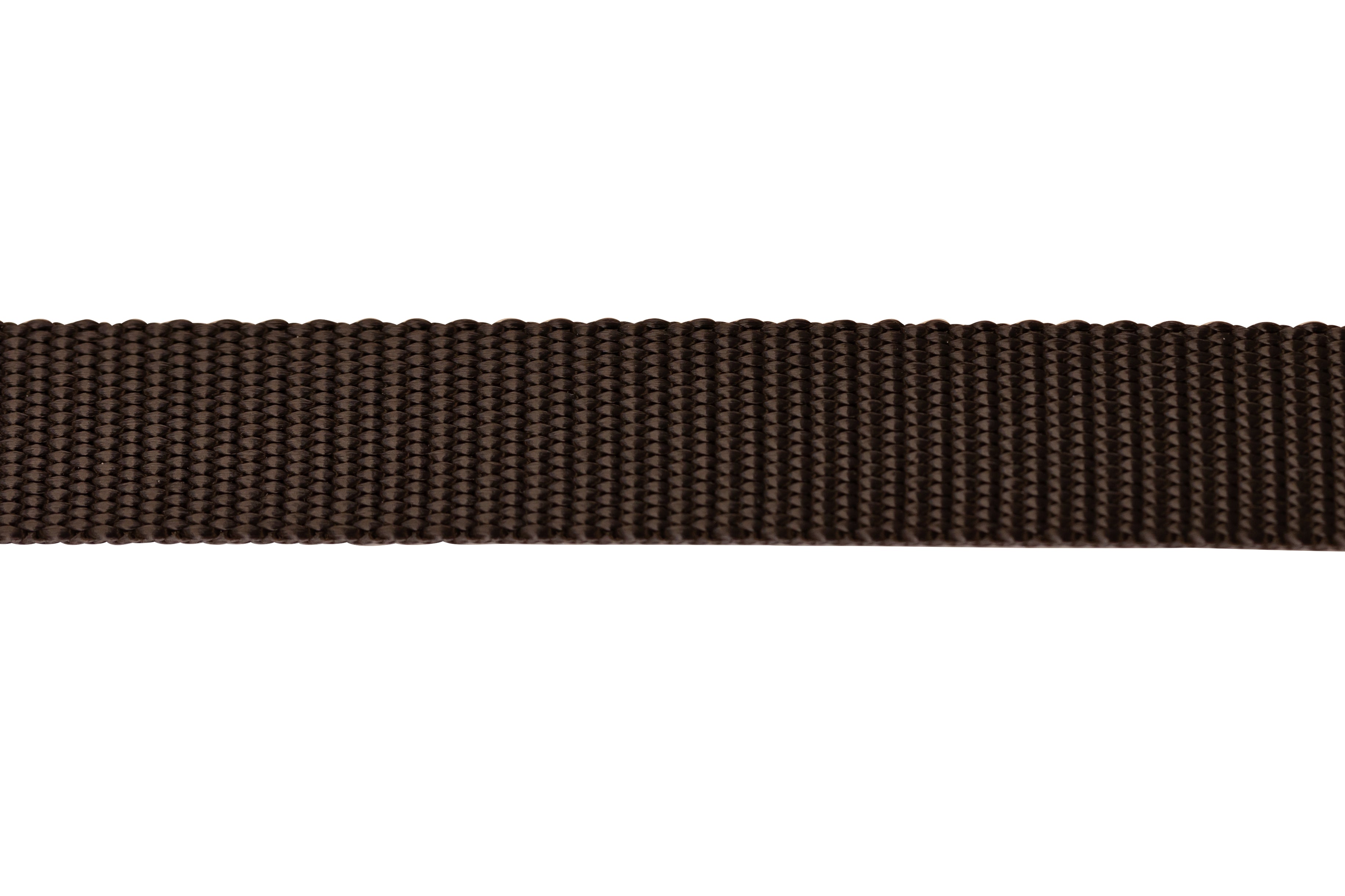 Nylon Pet Webbing (4-850)