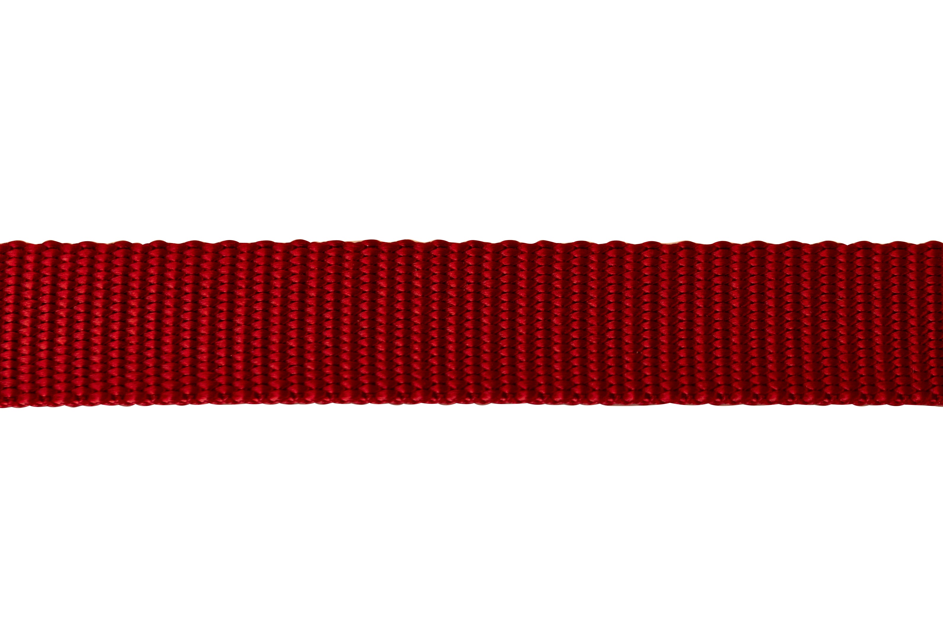 Nylon Pet Webbing (4-850)