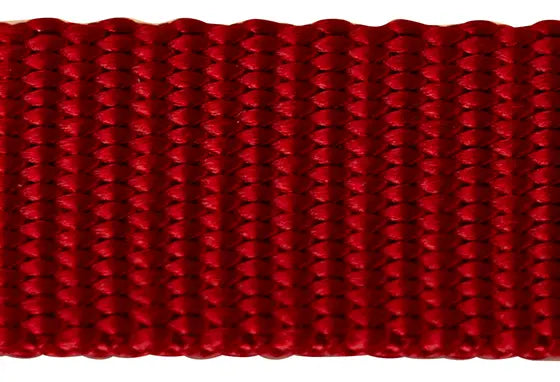 Nylon Pet Webbing (4-850)