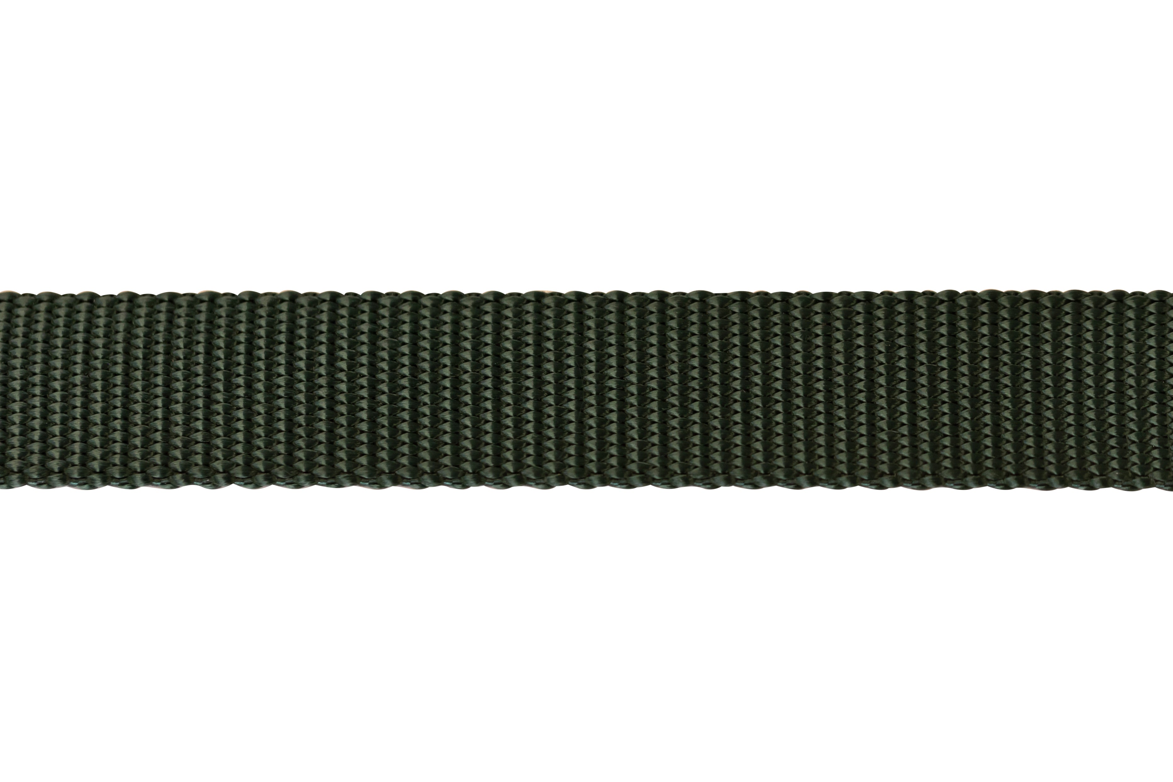 Nylon Pet Webbing (4-850)