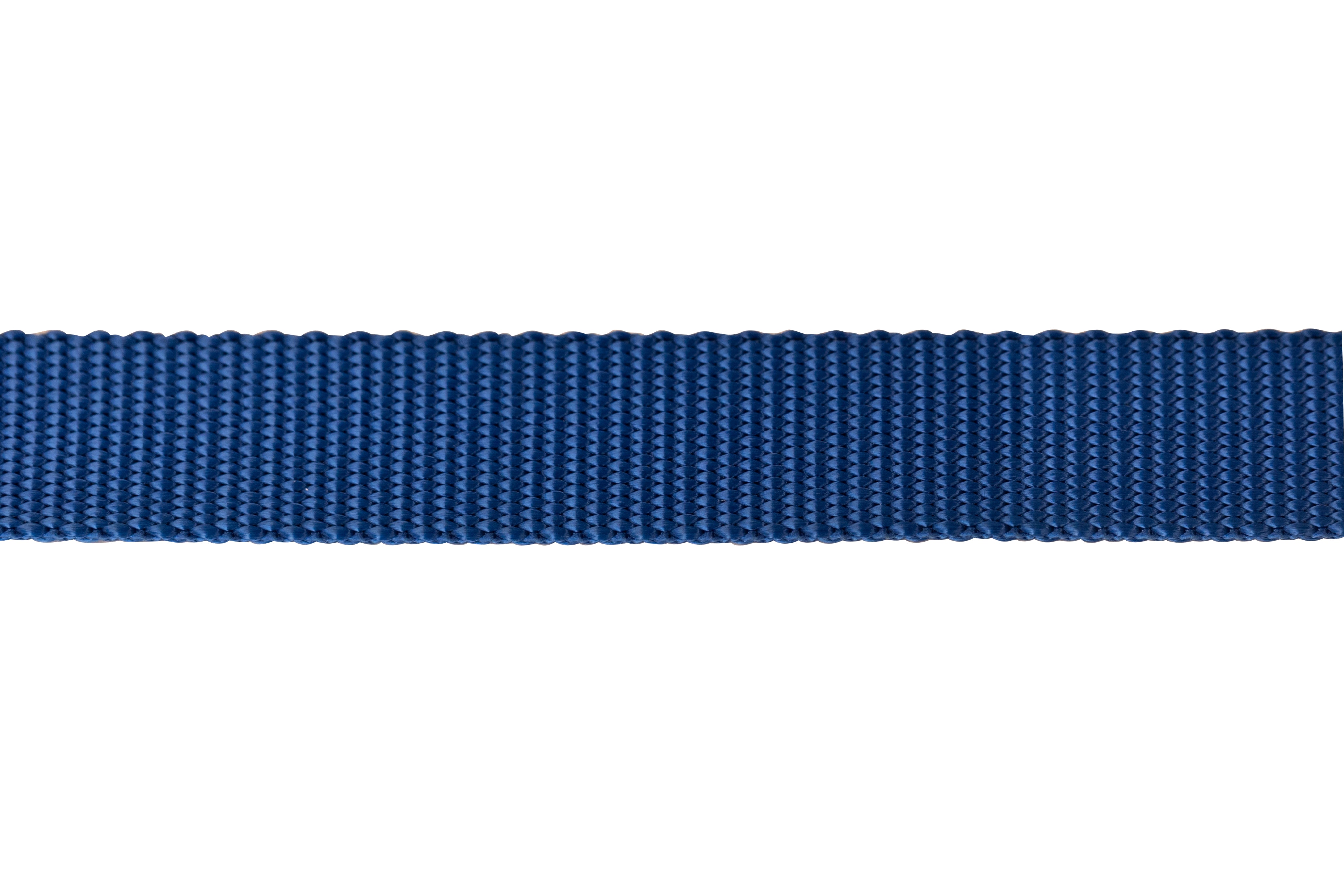 Nylon Pet Webbing (4-850)