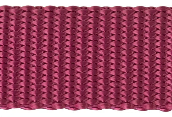 Nylon Pet Webbing (4-850)