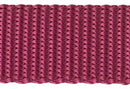 Nylon Pet Webbing (4-850)-21