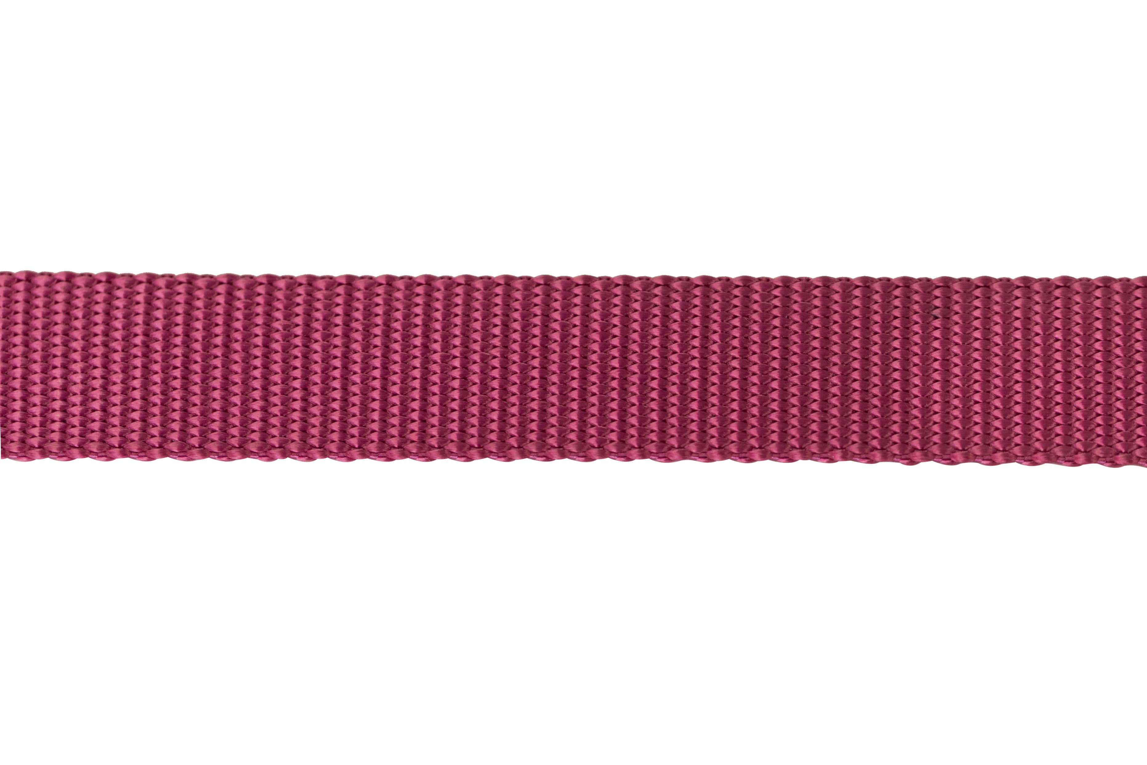 Nylon Pet Webbing (4-850)