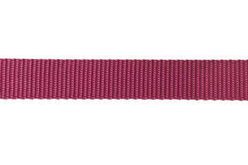 Nylon Pet Webbing (4-850)