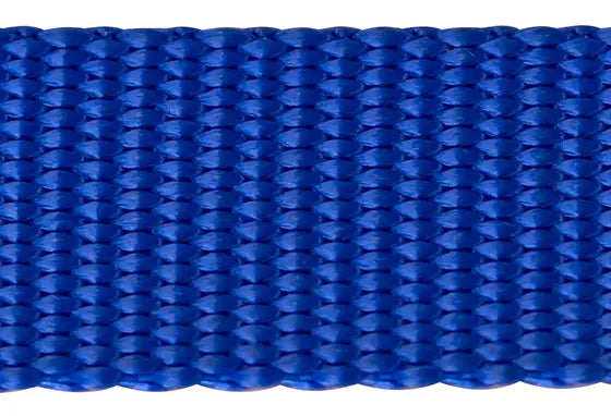 Nylon Pet Webbing (4-850)