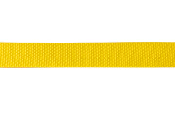 Nylon Pet Webbing (4-850)