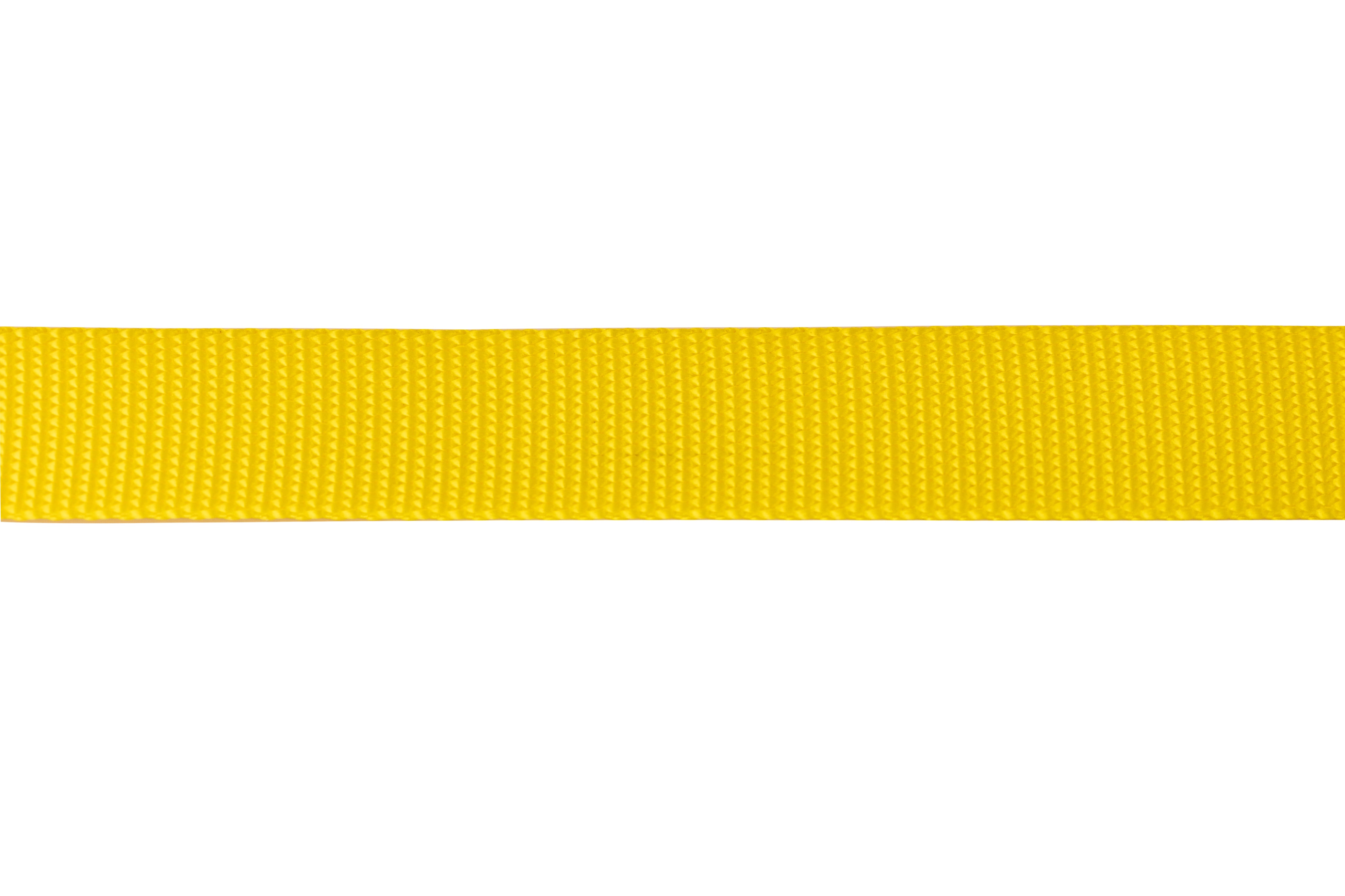 Nylon Pet Webbing (4-850)